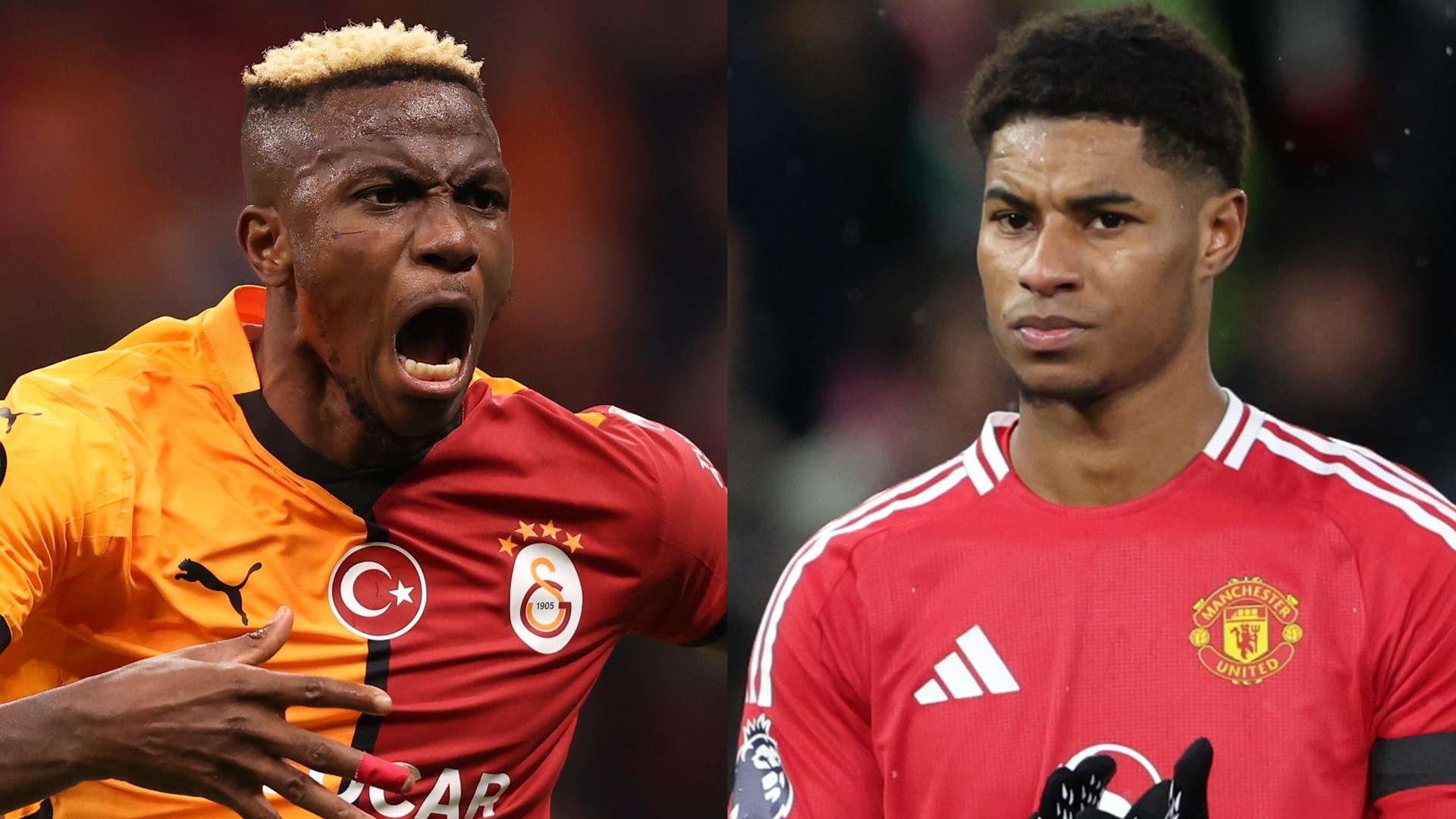 无论是社交 无论是社交